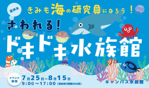水族館夏のイベント案内