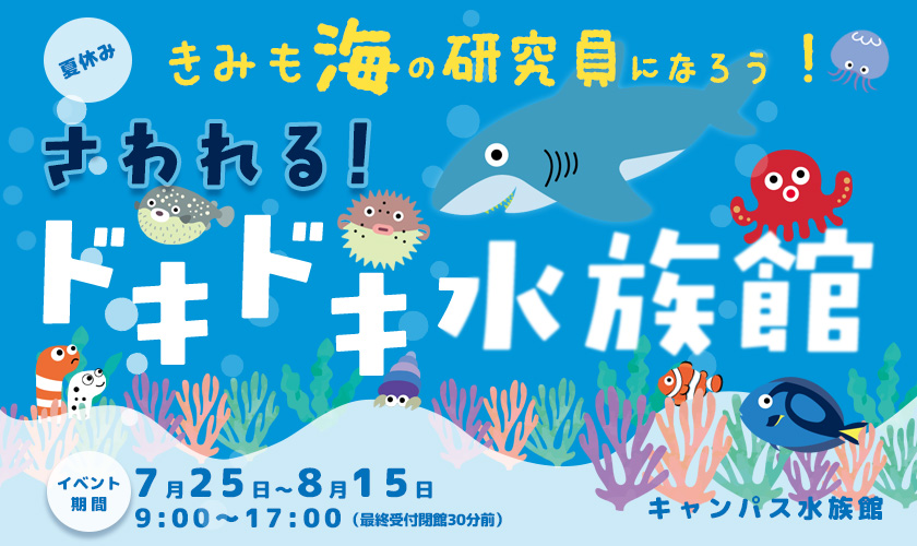 水族館夏のイベント案内